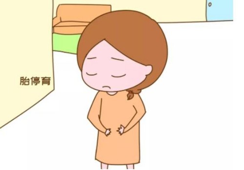 寧波供卵試管：高齡移植兩個成功率比一個高，還要考慮這些因素